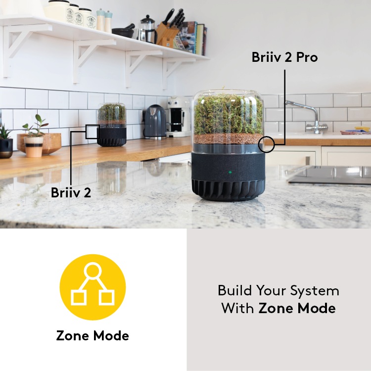 Briiv 2 Pro Air Filter by Wellbots