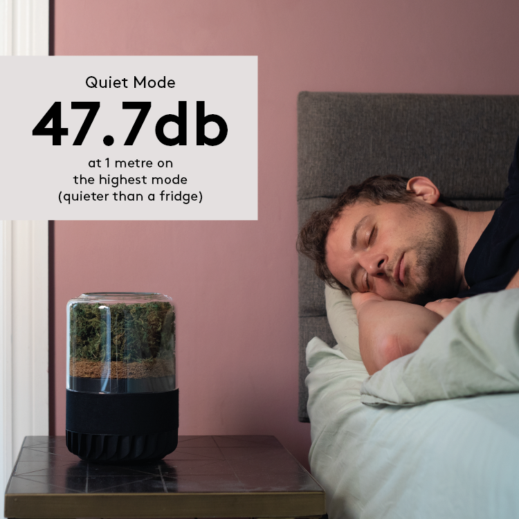 Briiv 2 Pro Air Filter by Wellbots