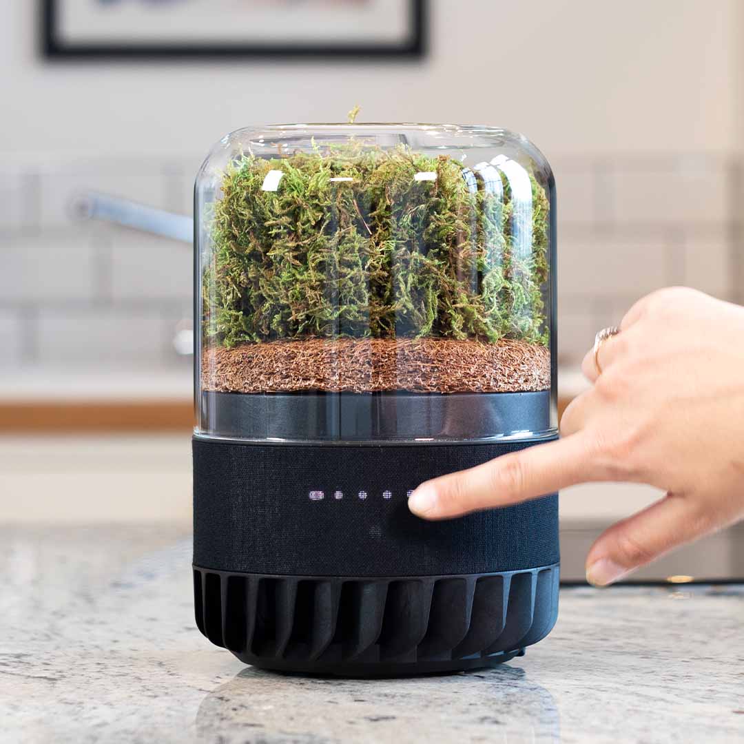 Briiv 2 Air Filter by Wellbots