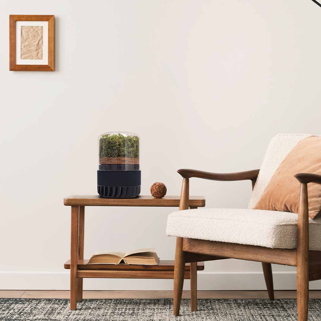 Briiv 2 Pro Air Filter by Wellbots