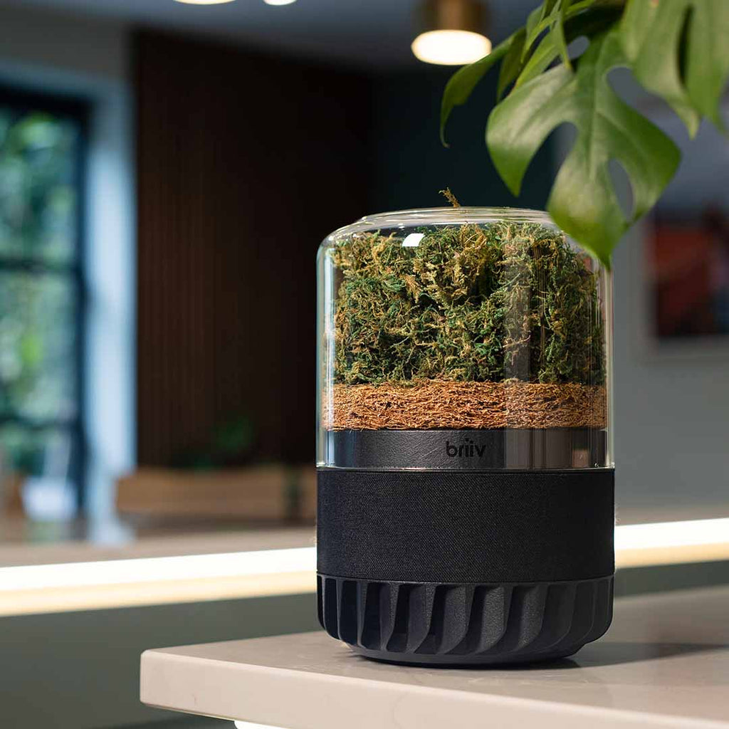 Briiv 2 Air Filter by Wellbots