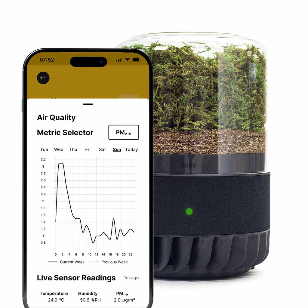 Briiv 2 Pro Air Filter by Wellbots