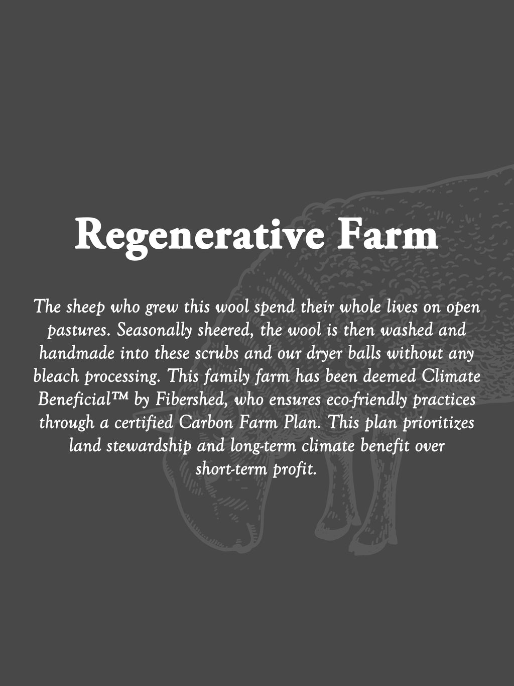 Sustainable Wool Scrub by Rustic Strength