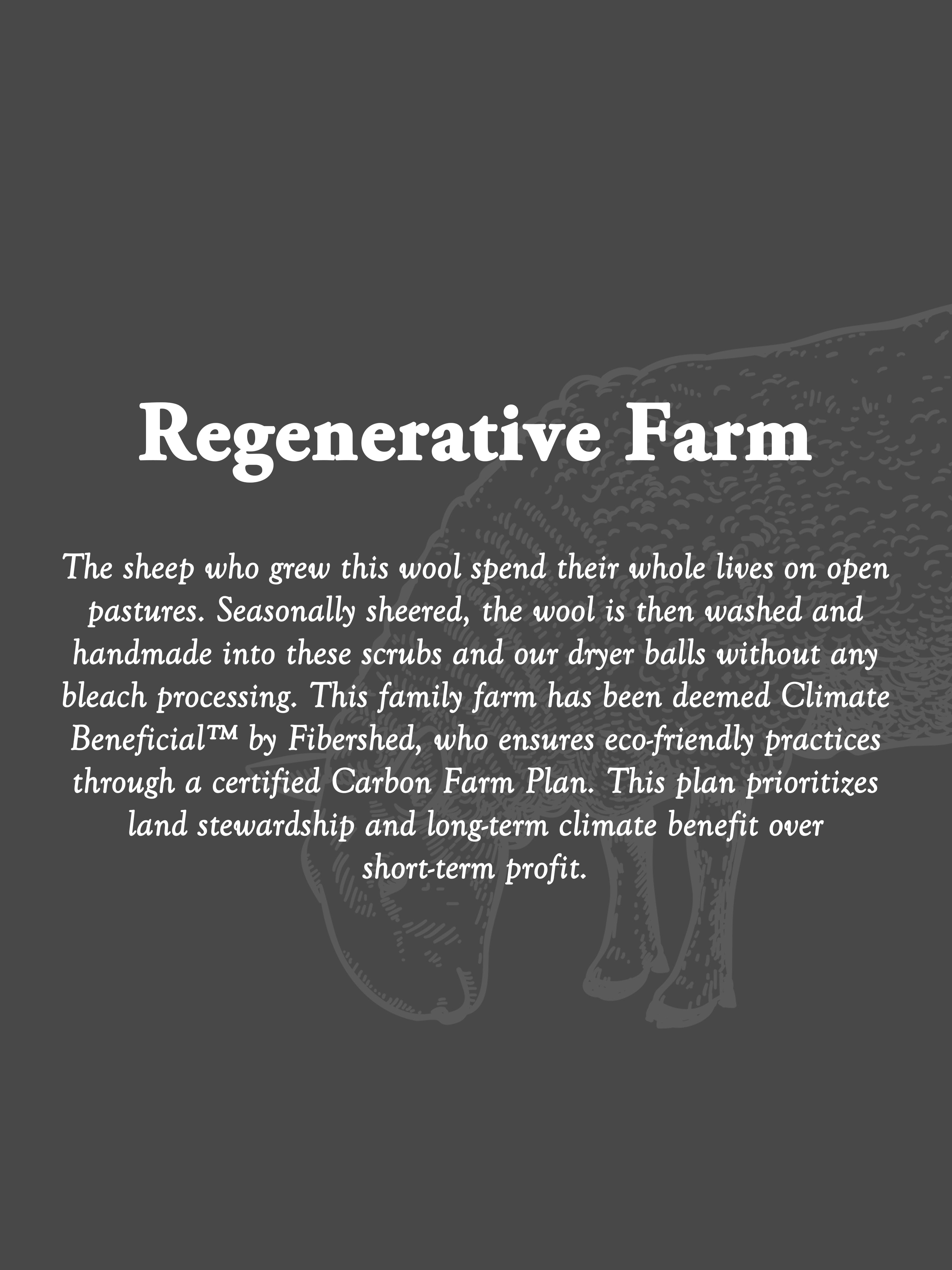 Sustainable Wool Scrub by Rustic Strength