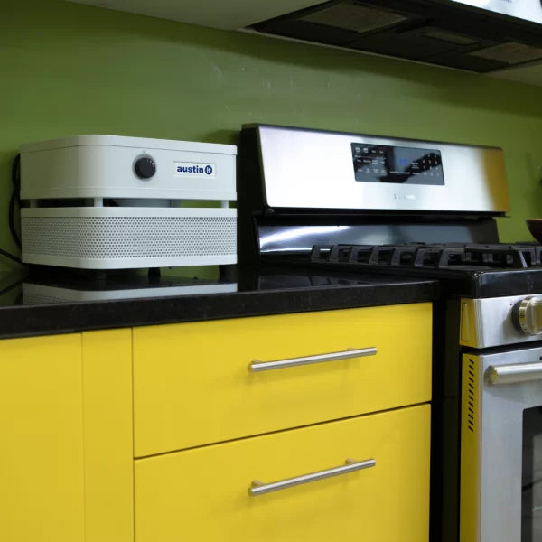 Austin Air it Unit with HEPA Air Purifier