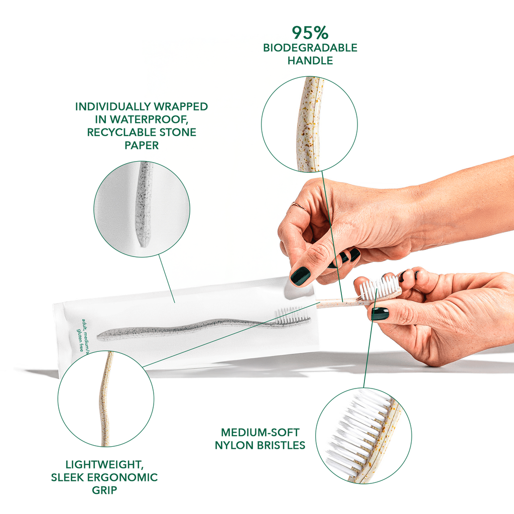 Gentle Green Toothbrush Family Pack (10 Count) – Eco-Friendly Wheat Straw Toothbrushes for Sensitive Teeth | BPA-Free, Travel-Friendly, Plastic-Free by Terra & Co.
